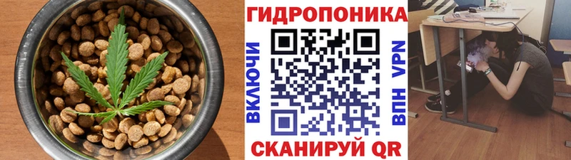 Canna-Cookies конопля  купить наркоту  Энем 