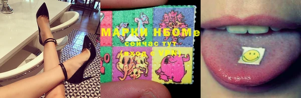ПСИЛОЦИБИНОВЫЕ ГРИБЫ Михайлов