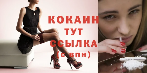 ПСИЛОЦИБИНОВЫЕ ГРИБЫ Михайлов