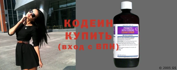 ПСИЛОЦИБИНОВЫЕ ГРИБЫ Михайлов